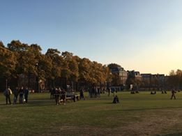 museumplein park