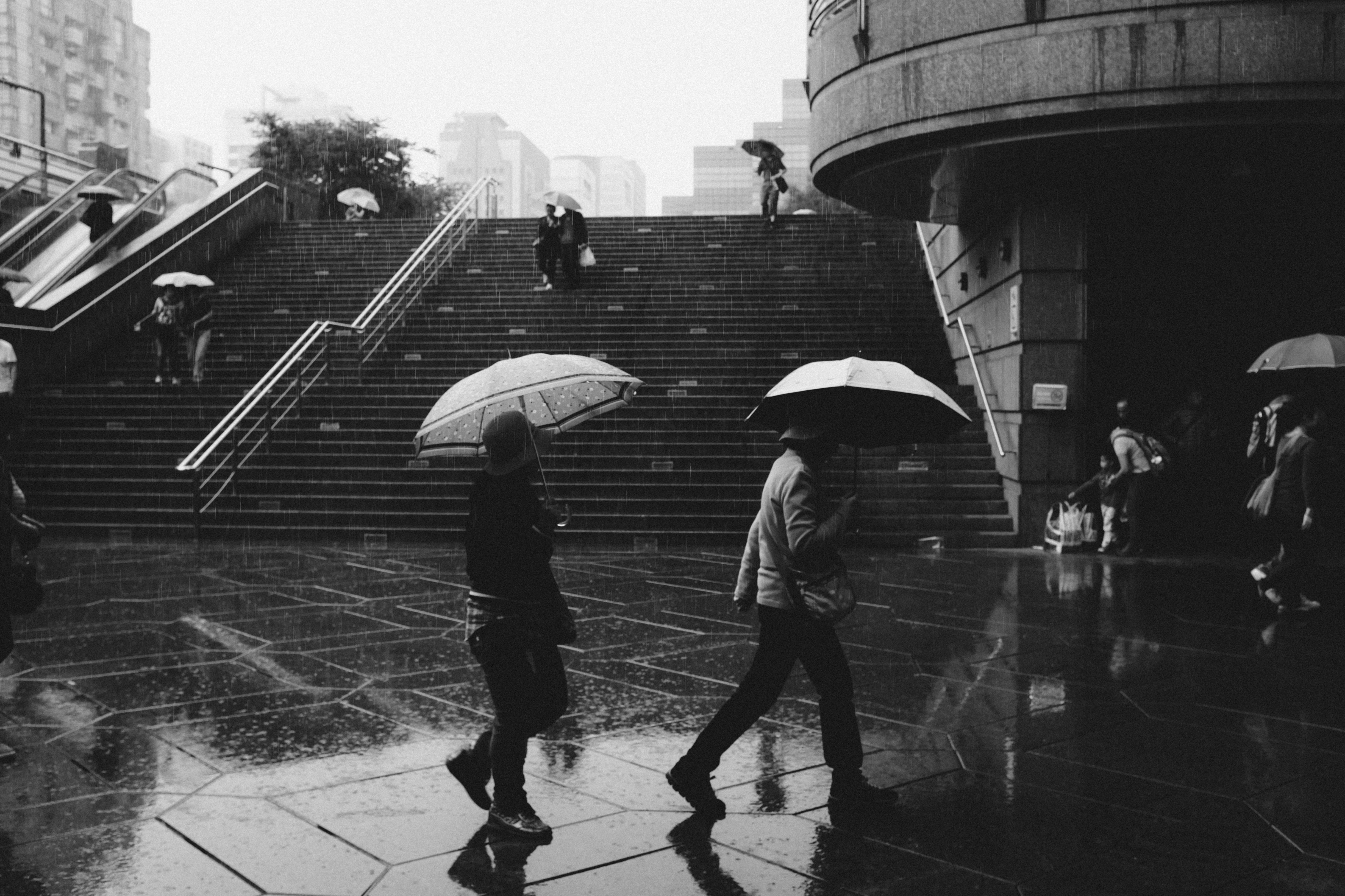 Rainy day! Dia de guarda-chuva!